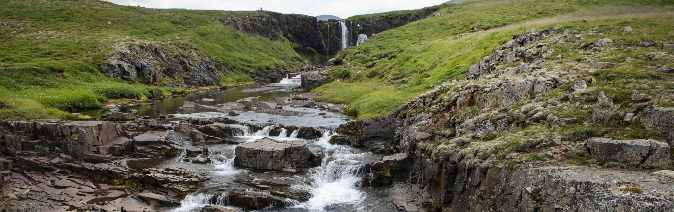 Aðalmynd fyrir “Fróðlegt og vel heppnað námskeið í skógrækt  í Dalabyggð”