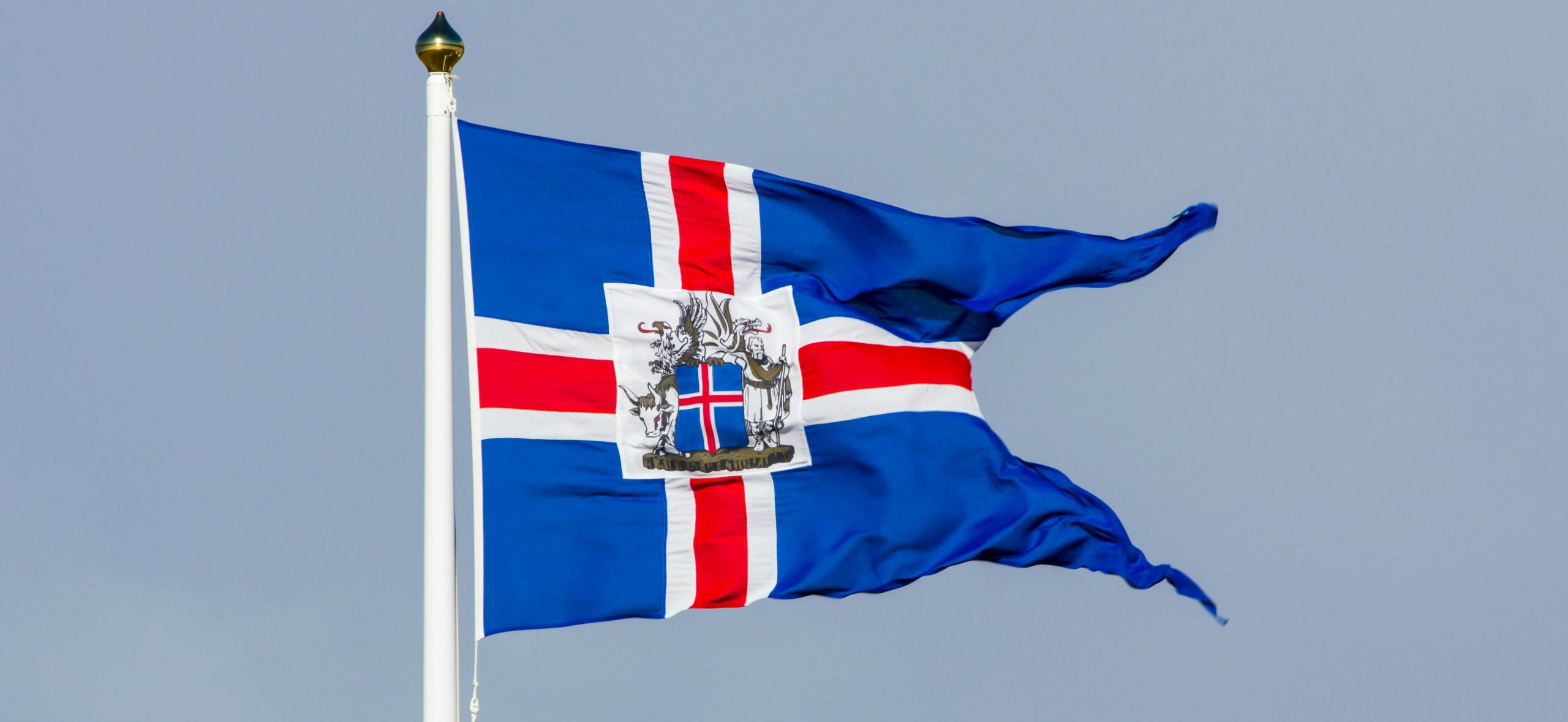 Aðalmynd fyrir “Forsetakosningar 2024”