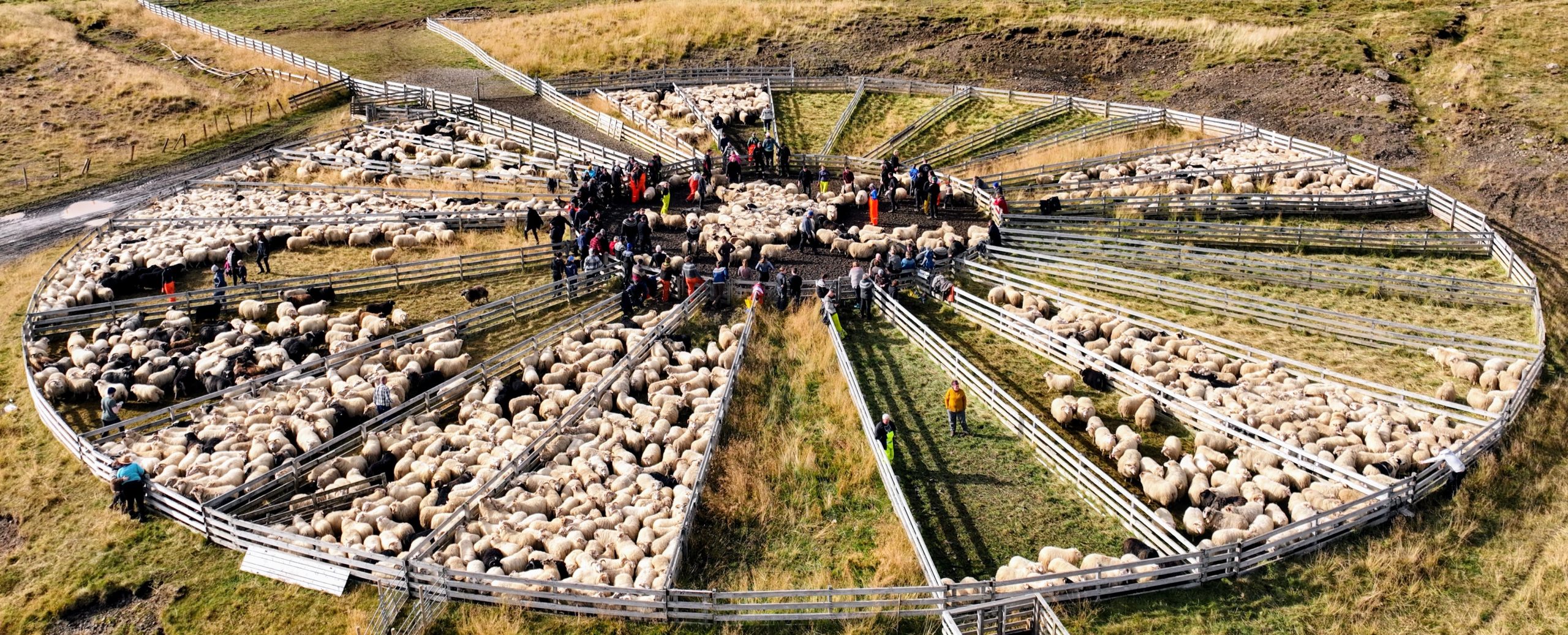 Aðalmynd fyrir “Réttir og fjallskil í Dalabyggð 2024”