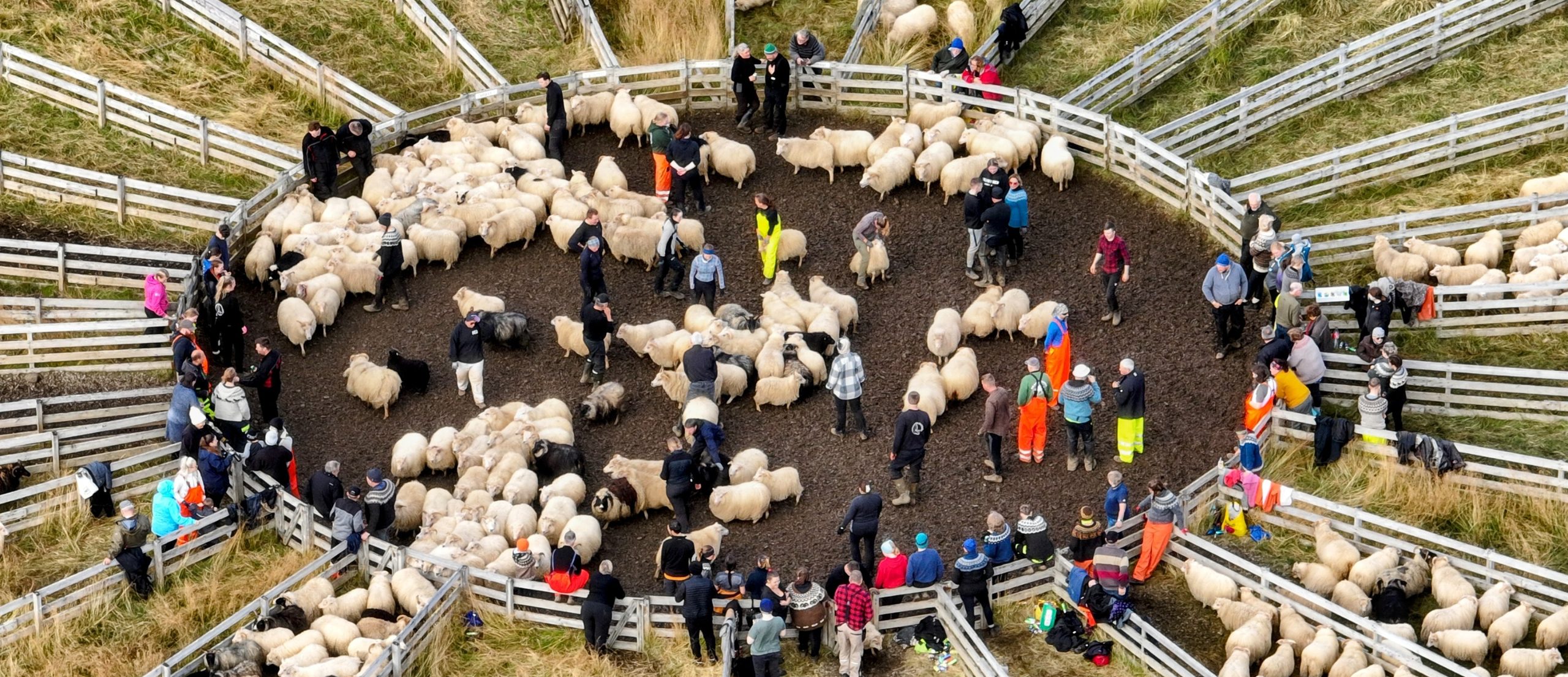 Aðalmynd fyrir “Réttir og fjallskil í Dalabyggð 2025”
