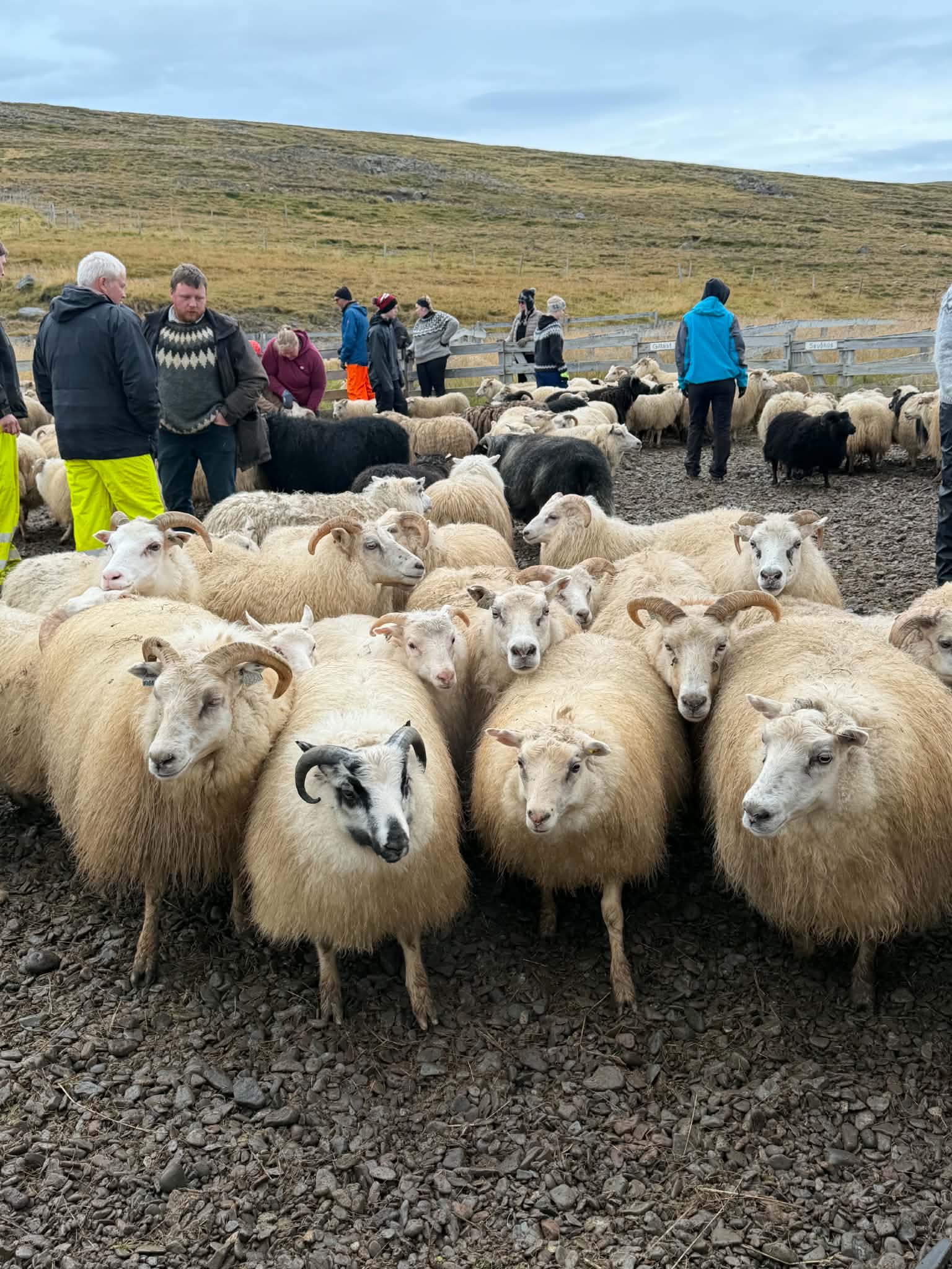 Aðalmynd fyrir “Dagbók sveitarstjóra vikan 30. ágúst – 13. september”